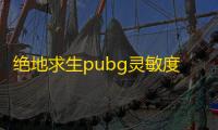 绝地求生pubg灵敏度怎么调最稳2022